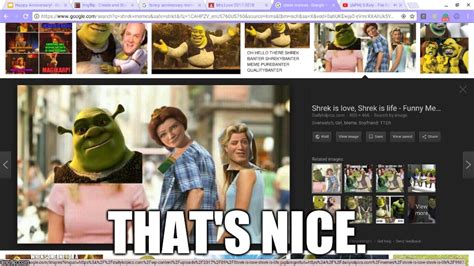 So I Was Just Looking Shrek Memes And Look What I Found Imgflip