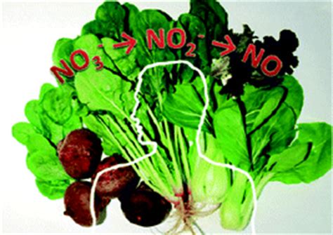 Spinach is high in nitrates. Antibacterial toothpaste does not inhibit nitrate intake ...