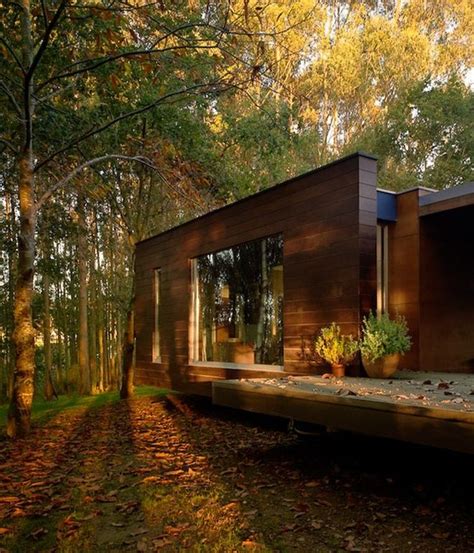 Wood House Concept Harmony With Nature Forest House House In The