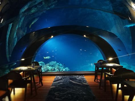 Hurawalhi Island Resort Maldives Savour Blackbookasia Hotel Review