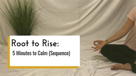 5 Minutes To Calm Sequence Youtube