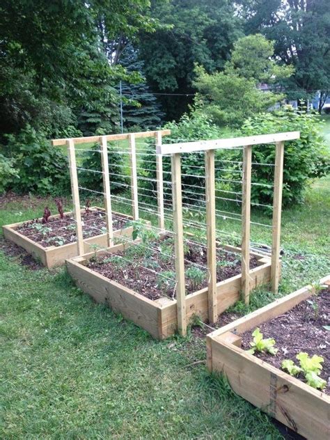 My Tomato Trellis Raisedvegetablegarden Vegetable Garden Design