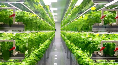 The Competitive Economics Of Vertical And Greenhouse Farming — Agritecture