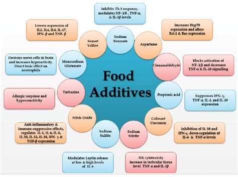 Immunomodulatory Properties Of Food Additives Download Scientific