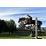 Horseback Riding Tours  LOPOTA LAKE RESORT & SPA
