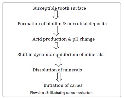 Dental Caries Process