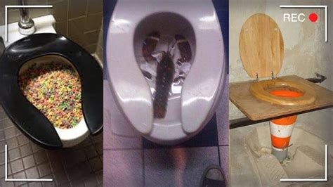 The Most Bizarre Facts About Toilets Around The World