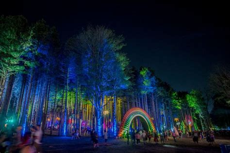 Polizei beendet illegale party in wald in neuried. Pin von JK H auf Rave in 2020 | Deko design, Baumhaus, Rave