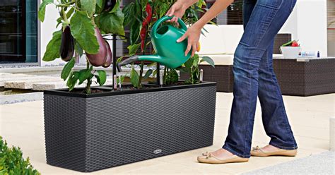 6 Self Watering Outdoor Planters For Easy Gardening Eplanters