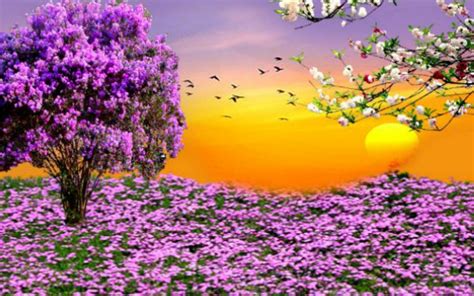 Spring Background Pictures Wallpapertag