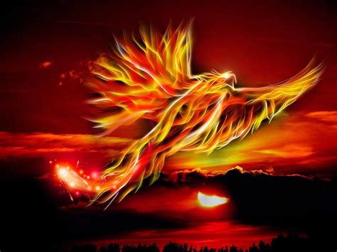 The Story Of The Phoenix Rising — Amanda Linette Meder