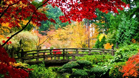 Nature Trees Autumn Colorful Garden Wallpaper 2560x1440
