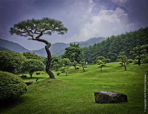 Wandering the gorgeous Garden of Morning Calm, Gapyeong, Korea - Roamad