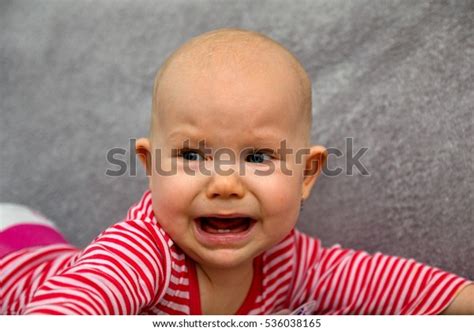 Newborn Baby Girl Crying Stock Photo 536038165 Shutterstock
