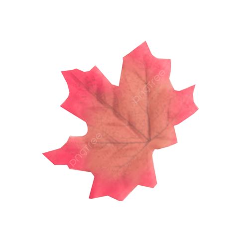 Maple Leafs PNG Transparent Maple Leaf Leaf Plant Vegetation PNG