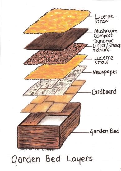 Check spelling or type a new query. How To Make Raised Garden Beds For Vegetables - The ...