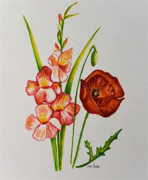 Gladiolus And Poppy August Birthday Flower Original Watercolor