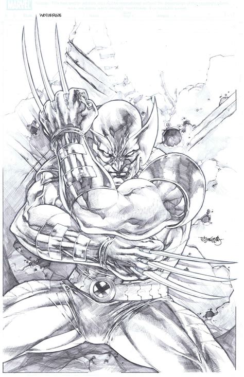 On Deviantart Wolverine Comic Art Wolverine