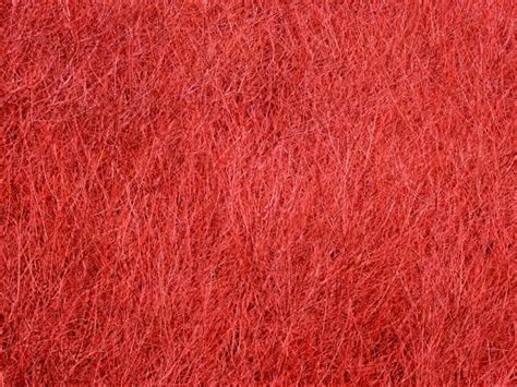 Red Texture Background Free Stock Photo Public Domain Pictures