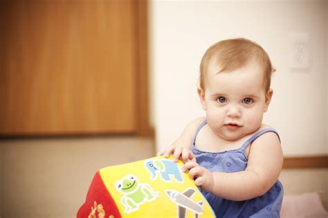 Kali ini kita akan membahas tentang perkembangan bayi dari 0 sampai 9 bulan. Perkembangan Bayi Usia 9 Bulan - PerawatanBayi.com