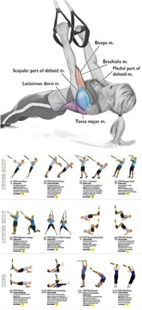 Trx Exercises Fitness Body Full Body Workout Trx Workouts
