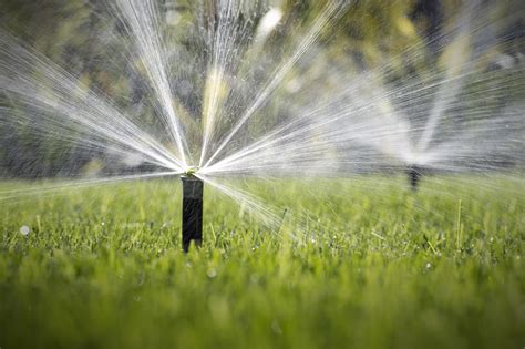 We did not find results for: 4 Summer Lawn Watering Tips for El Paso, TX Homeowners ...