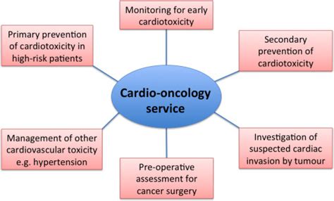 Common Referrals To A Cardio Oncology Service Illustration Of The