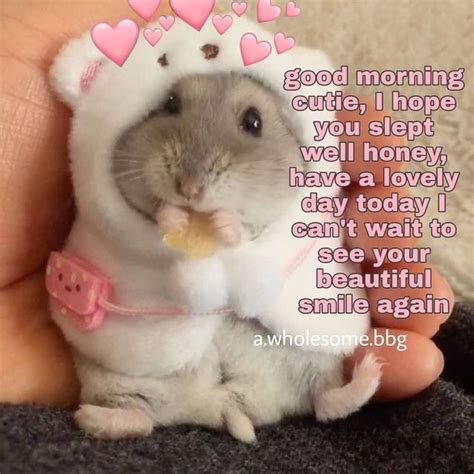 Wholesome Hamster In 2020 Funny Good Morning Memes Flirty Memes