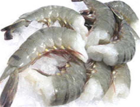 Widely Selling Fresh Frozen Whole Vannamei Shrimp White Black Tiger