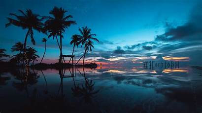 Ocean Sunset Palm Trees Evening 4k Background