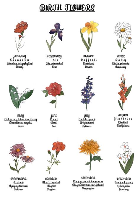 Birth flowers (birthday flowers or birth month flowers) is one of a class of specialized categorizations offered by florists. Birth Flowers in 2020 | Birth flower tattoos, Birth ...