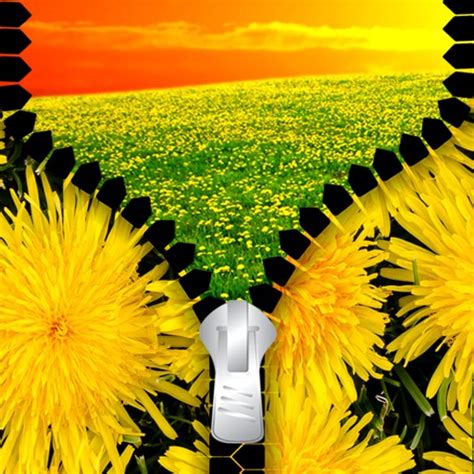 Dandelion Zipper Lock Screen