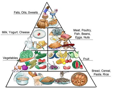 Food Pyramid Good Food Guide