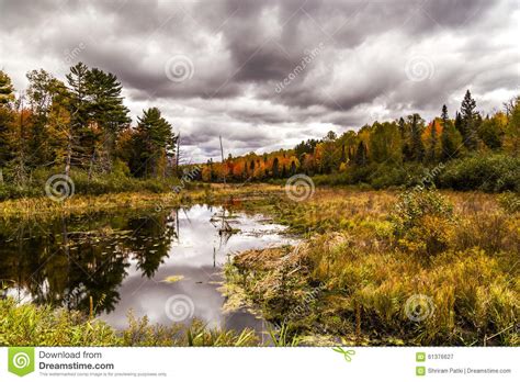 Cloudy Autumn Weather In Michigan Stock Image Image 61376627