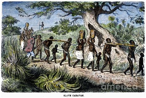 Slave Trade 19th Century By Granger