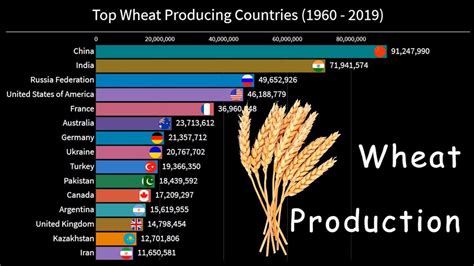 Top Wheat Producing Countries 1960 2019 Wheat Production Youtube