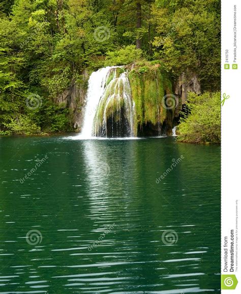 Beautiful Forest Waterfall Stock Photo Image Of National