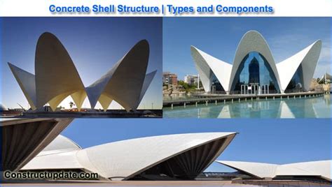 What Is Shell Structure Shell Structure Types And Forms Components