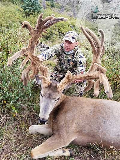 The Biggest Mule Deer Of 2018 The King Company