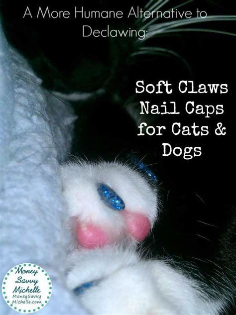 Soft Claws Review A More Humane Alternative To Declawing Soft Claws