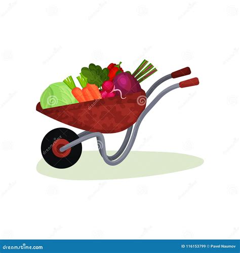 Garden Wheelbarrow Full Of Fresh Vegetables Crop From Farm Tasty And