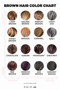 The Ultimate Brown Hair Color Chart Hair Com By L 39 Oréal Cartes De