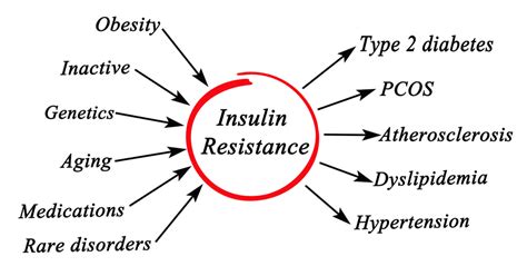 What Is Insulin Resistance And How Do You Fix It Transparent Labs