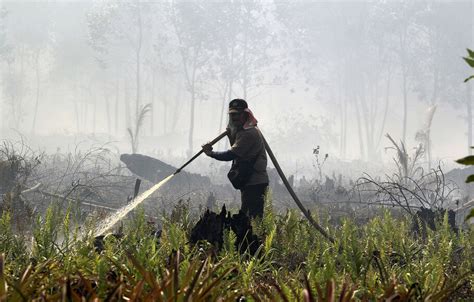 BKSDA Bengkulu Siap Antisapasi Kebakaran Hutan Dan Lahan