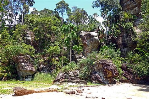 The bako national park is mainly a tropical rain forest rich in tropical plants and vegetation especially the various types of flora and fauna. Bako National Park 3D2N - Sarawak Hotel + Tour Packages
