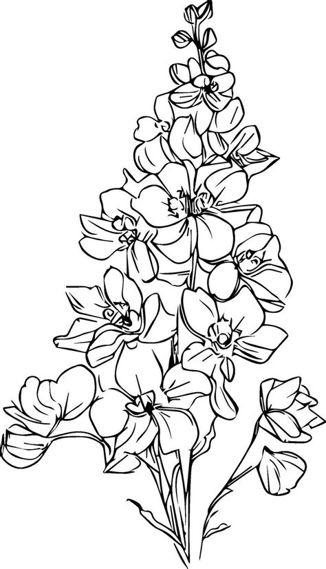 Hand Drawn Delphinium Flower Bouquet Vector Sketch Illustration Outline