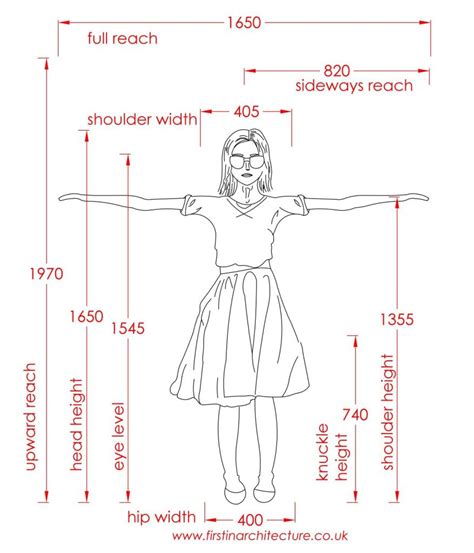 Metric Data 01 Average Dimensions Of Person Standing