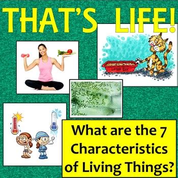 Teach your students the 8 characteristics of living things with this colorful powerpoint: That's Life! Identifying the 7 characteristics of living ...