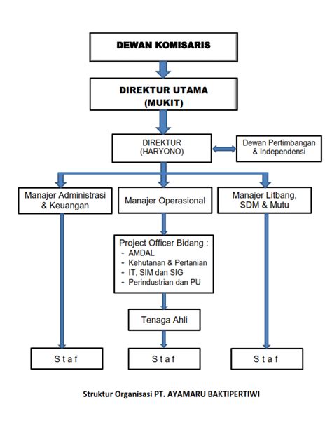 Struktur Organisasi Perusahaan Konsultan Koleksi Gambar
