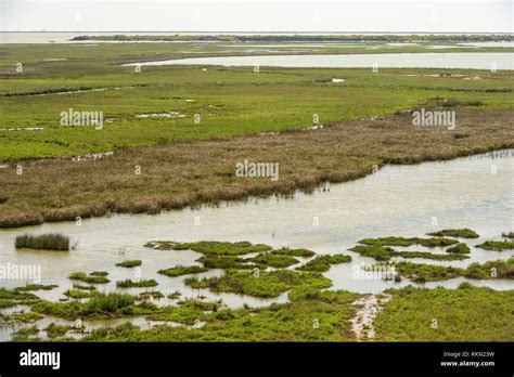 Aransas Coast Wetland Aransas Nwr Texas Usa Stock Photo Alamy